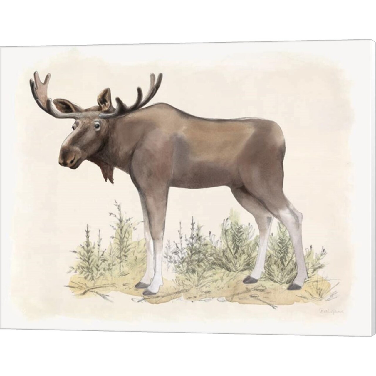 Wilderness Collection Moose by Beth Grove 20" x 16" Canvas Wall Art